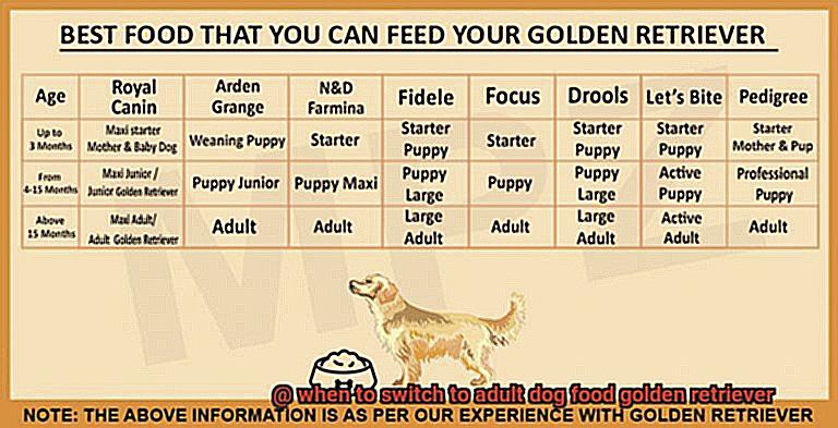 when to switch to adult dog food golden retriever-4